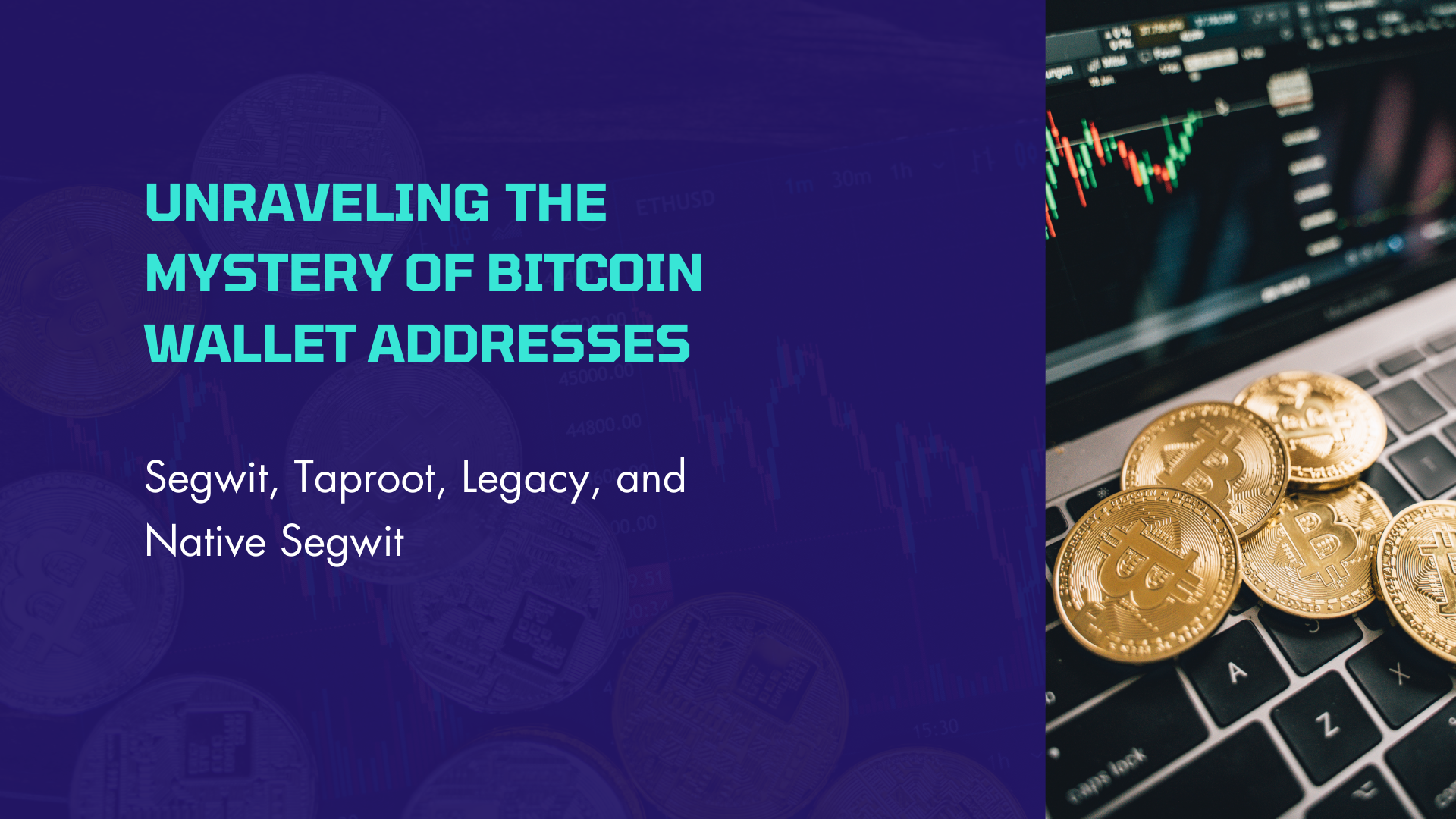 Unraveling the Mystery of Bitcoin Wallet Addresses: Segwit, Taproot, Legacy, and Native Segwit