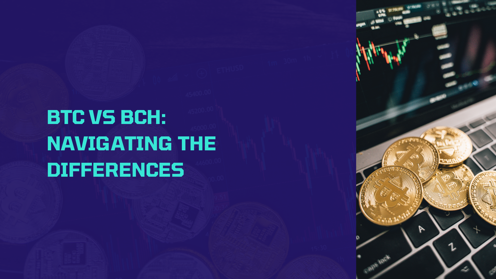BTC vs BCH: Navigating the Differences