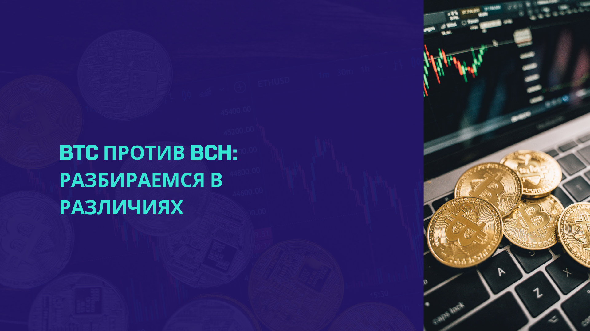 BTC против BCH: Разбираемся в различиях
