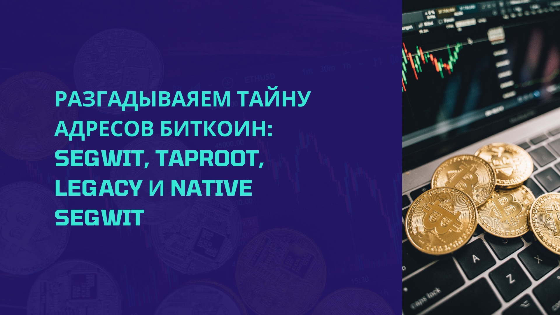 Разгадываем тайну адресов биткоин: Segwit, Taproot, Legacy и Native Segwit