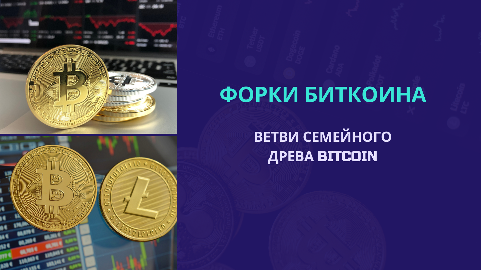 Форки Биткоина: Ветви семейного древа Bitcoin