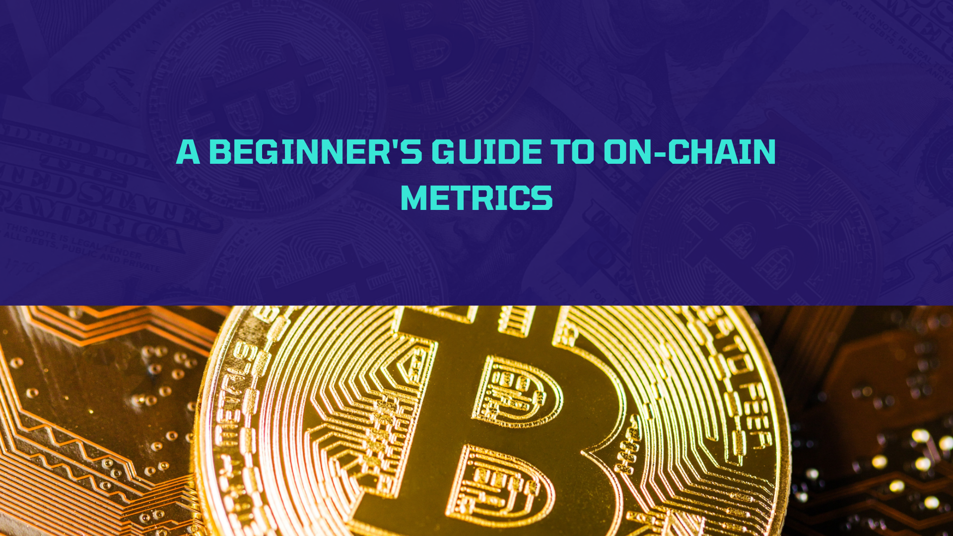 A Beginner’s Guide to On-Chain Metrics