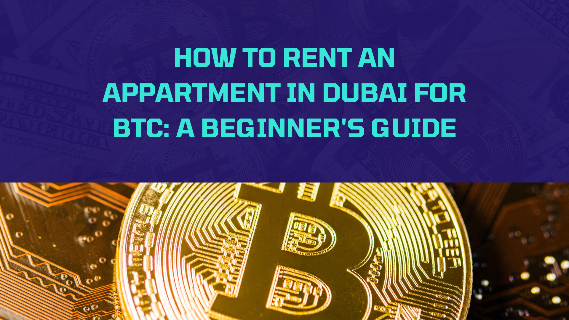 How to Rent an Appartment in Dubai for BTC: A Beginner’s Guide