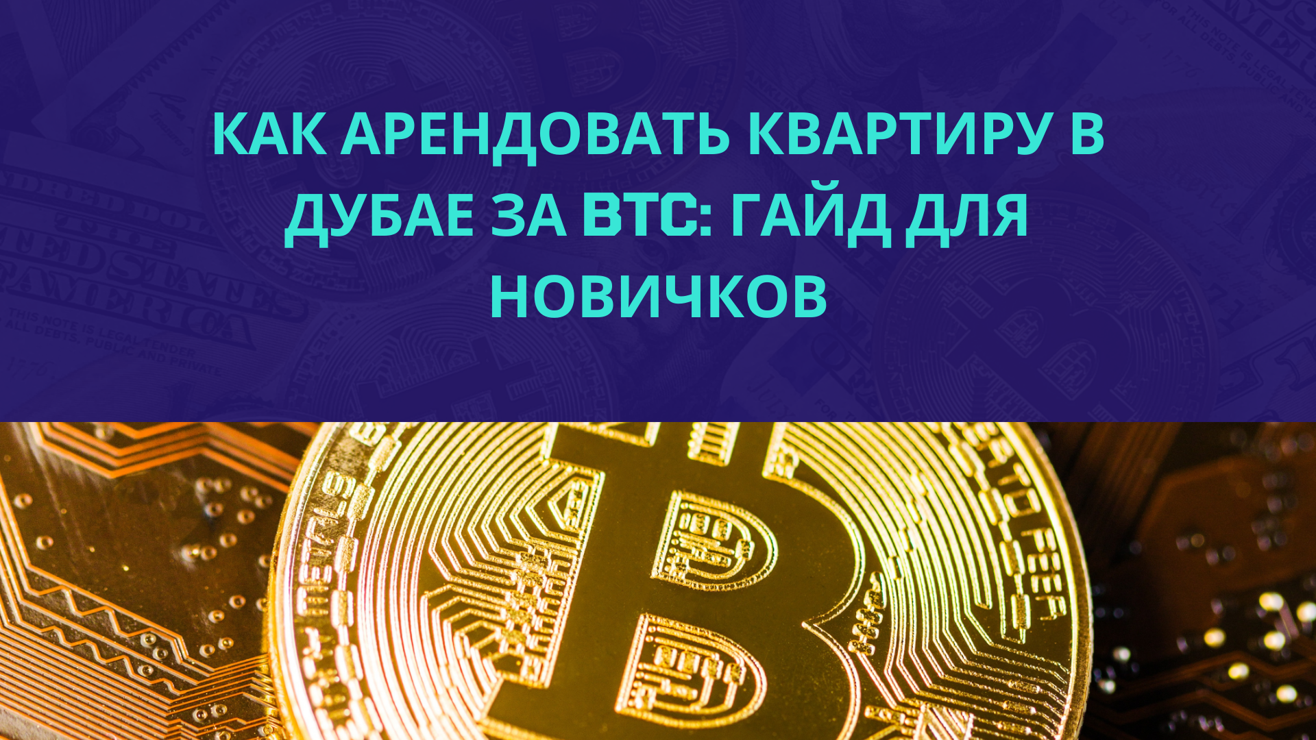 Как арендовать квартиру в Дубае за BTC: гайд для новичков