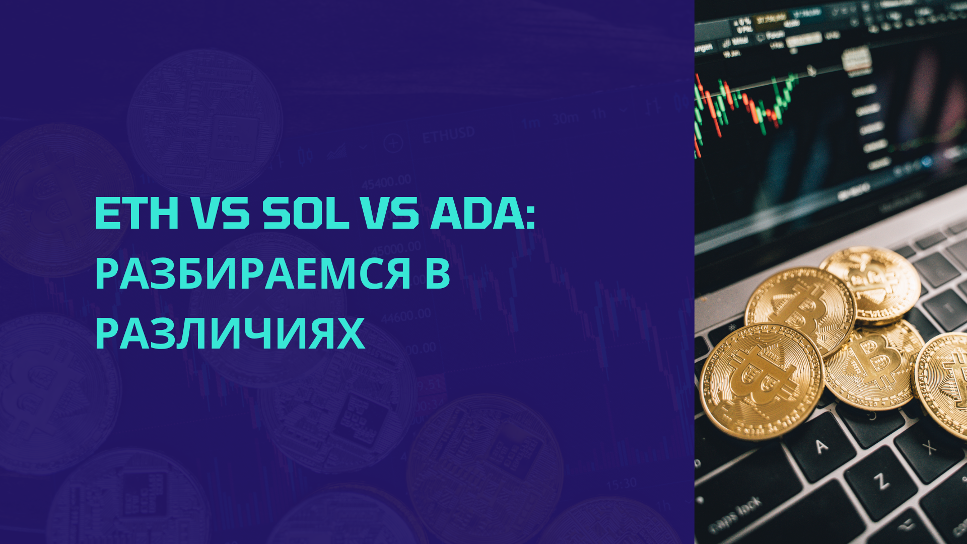 ETH vs SOL vs ADA: разбираемся в различиях