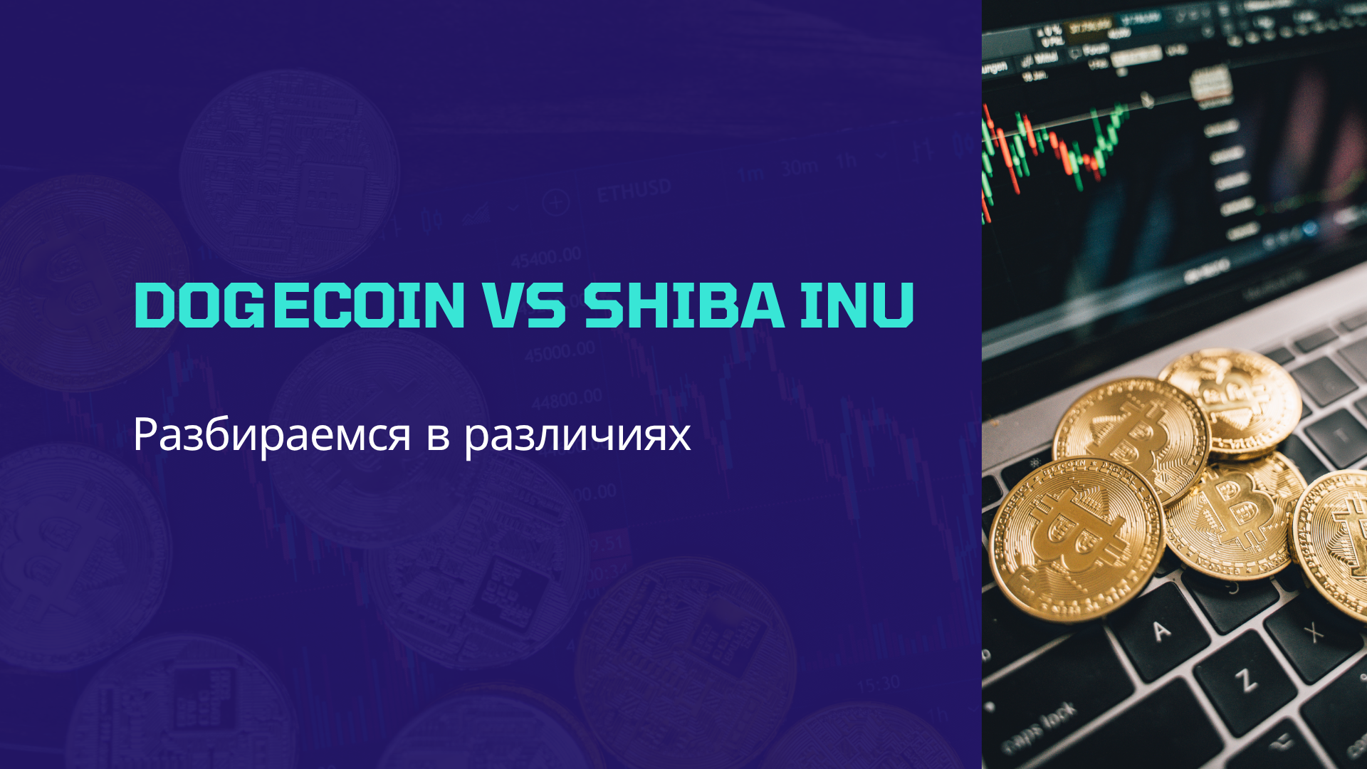 Dogecoin vs Shiba Inu: Разбираемся в различиях