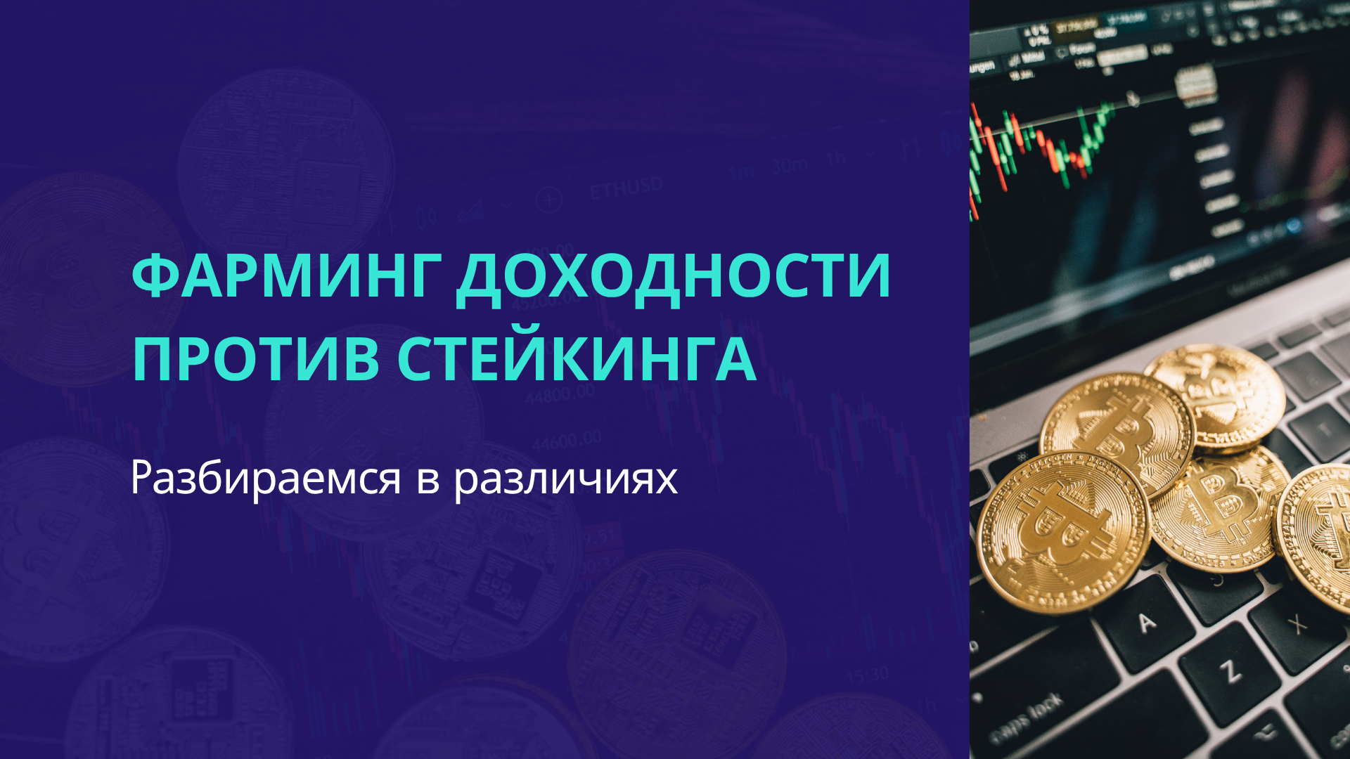 Фарминг доходности против стейкинга: разбираемся в различиях