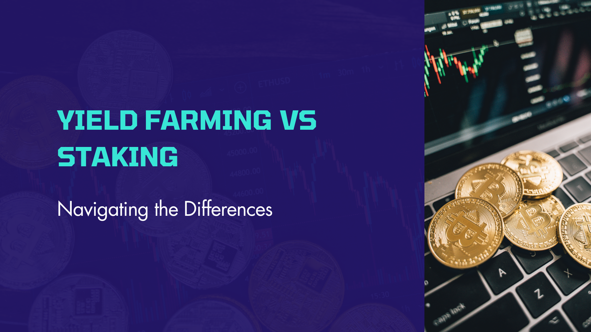 Yield Farming vs Staking: Navigating the Differences