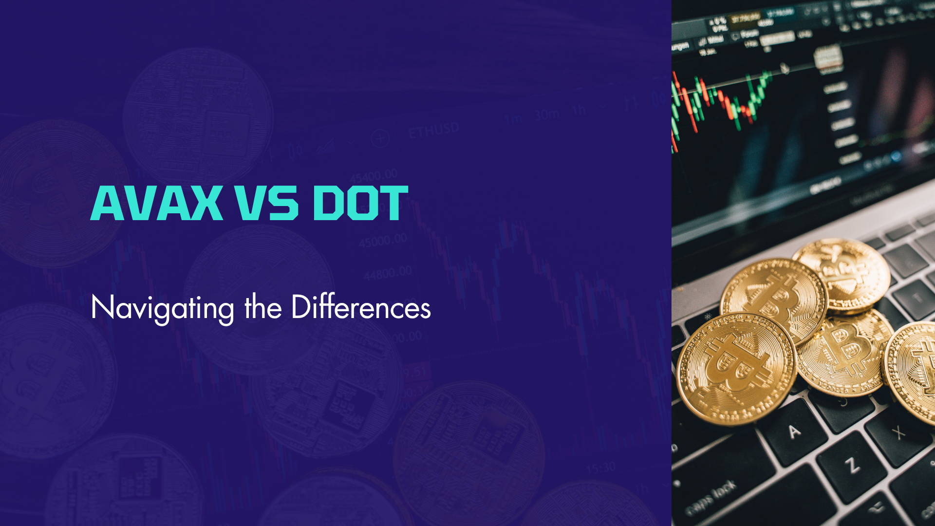 AVAX vs DOT: Navigating the Differences
