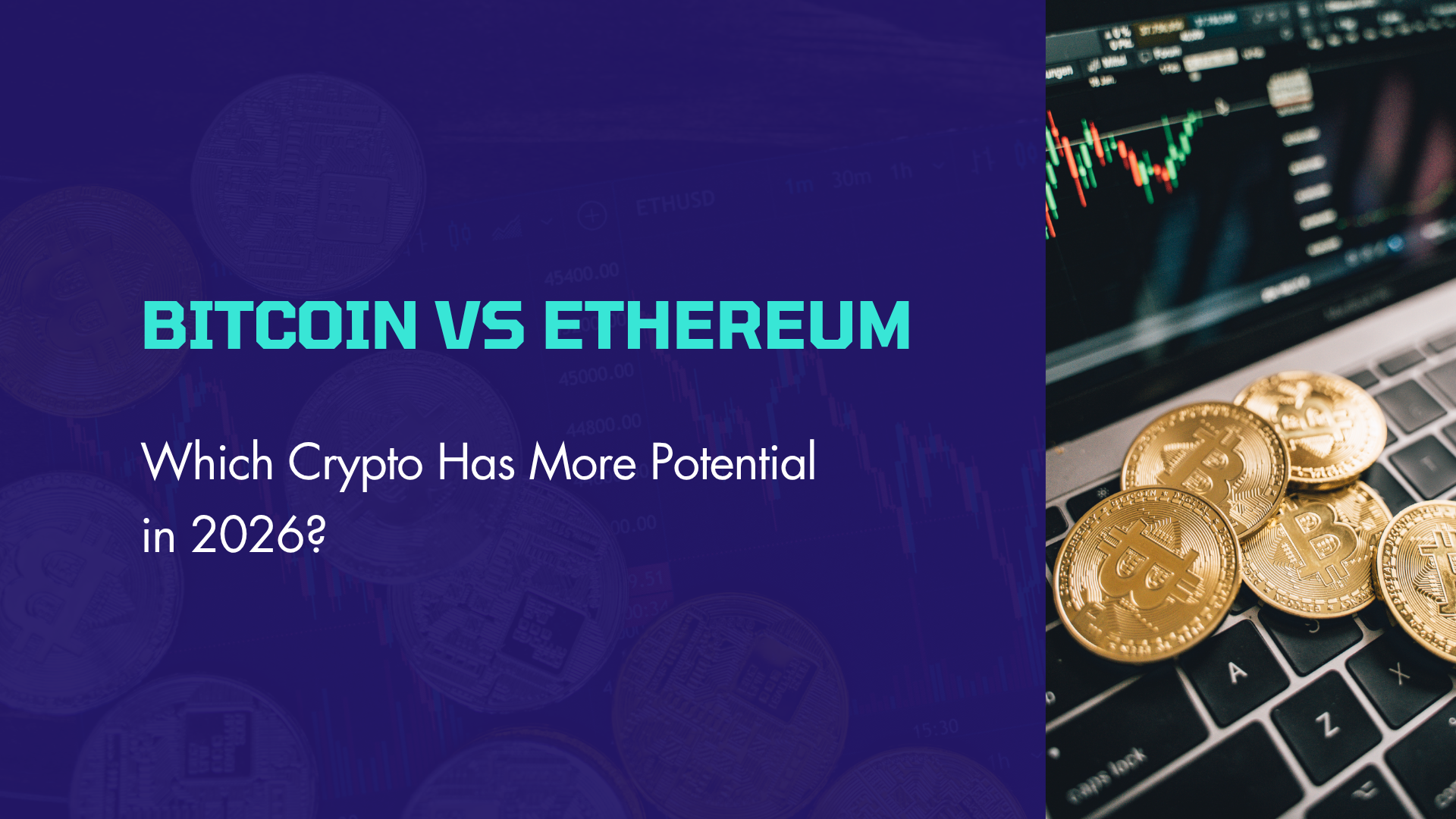 Bitcoin vs Ethereum: Which Crypto Has More Potential?