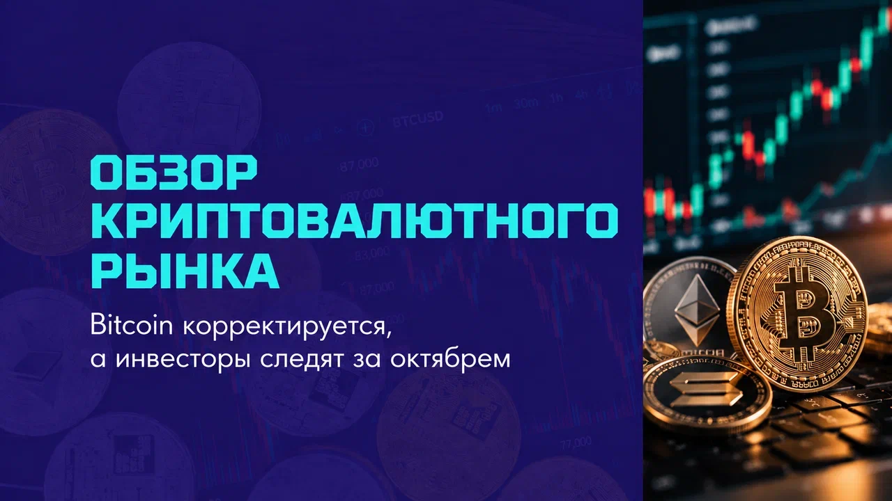 11.webp